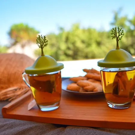 Floria Glamping Garden Campsite Labin (Istria)