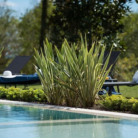 Floria Glamping Garden Campsite